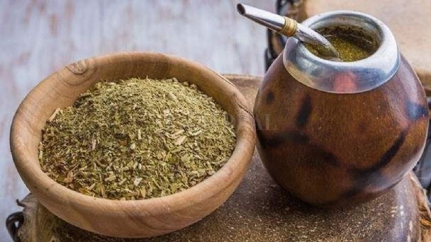 yerba mate