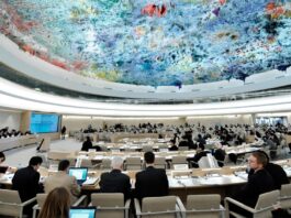 Argentina fue reelecta en el Consejo de Derechos Humanos de la ONU